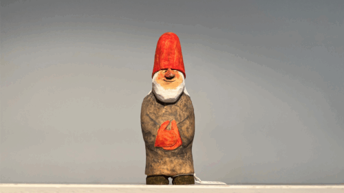 Hustomte - Bild 11