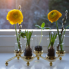 Constella Vasinsats 5-pack - Bild 2