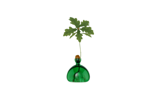 Vas Acorn Emarald Green