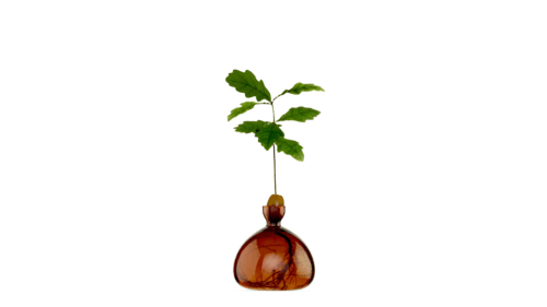 Vas Acorn Russet Brown