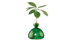 Vas Avocado Emarald Green