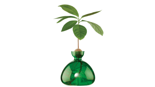 Vas Avocado Emarald Green
