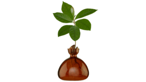 Vas Avocado Russet Brown