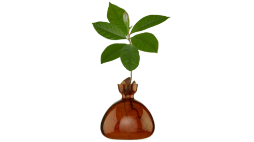 Vas Avocado Russet Brown