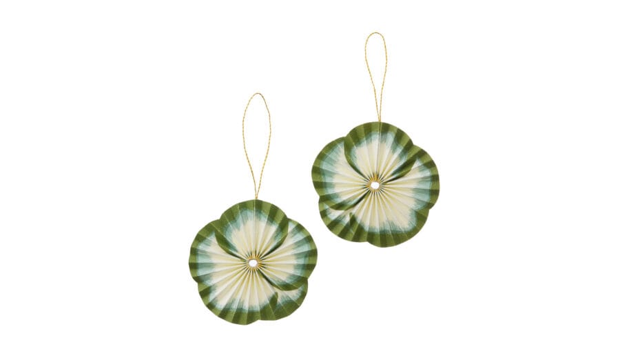 Hänge Rosette Flower Green